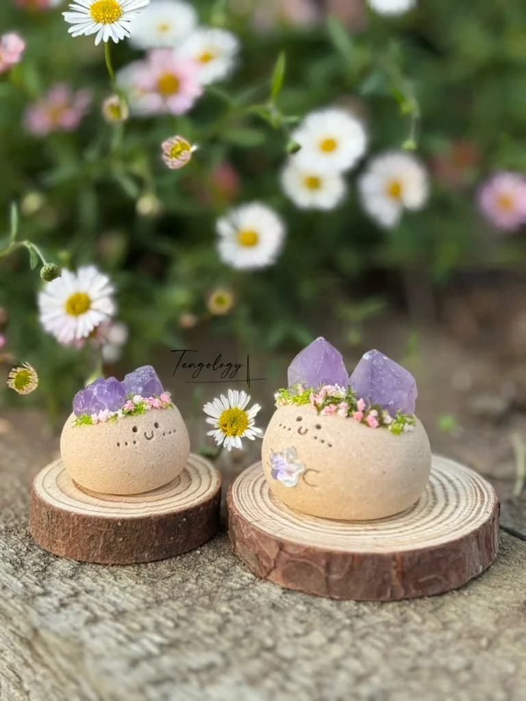 A small and a large amethyst Crysprout side by side among daisies
