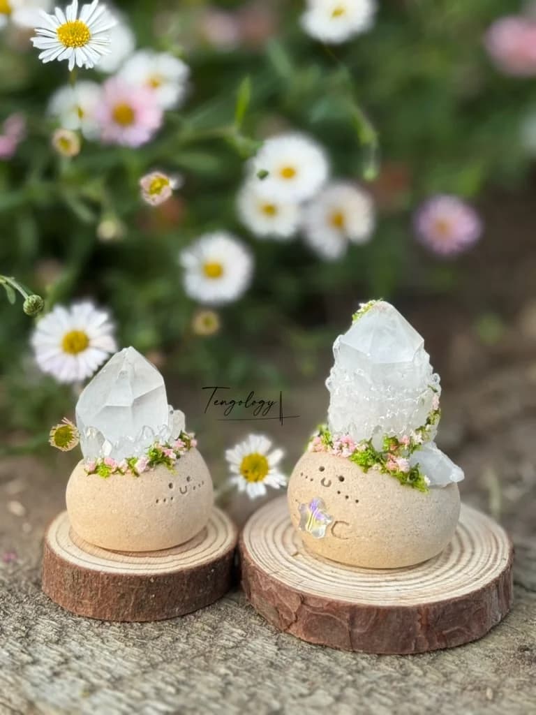 A small and a tall clear quartz Crysprout side by side on wood slices