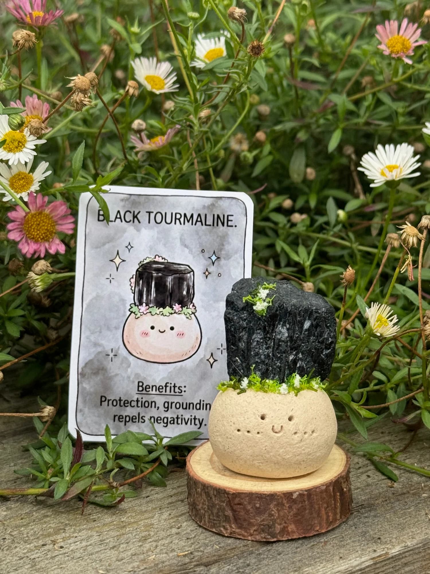 Mini Black Tourmaline Crysprout