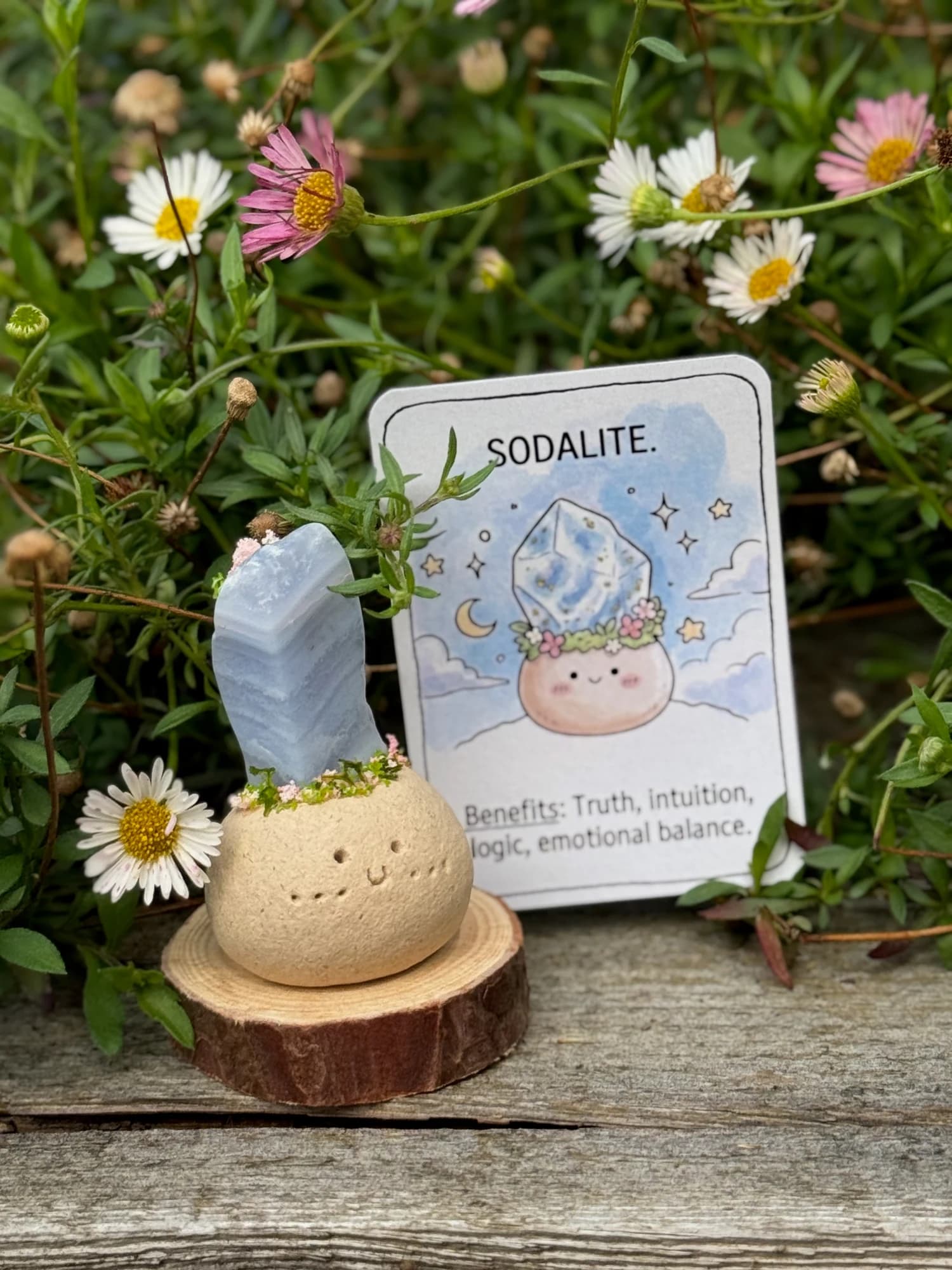Mini Sodalite Crysprout — photographed in the garden, additional view