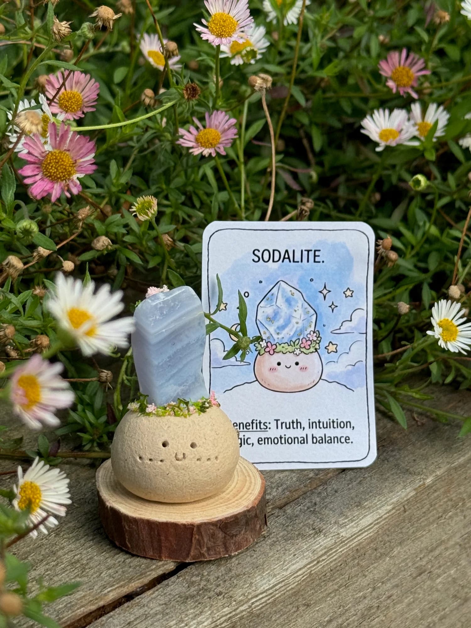 Mini Sodalite Crysprout — photographed in the garden, additional view