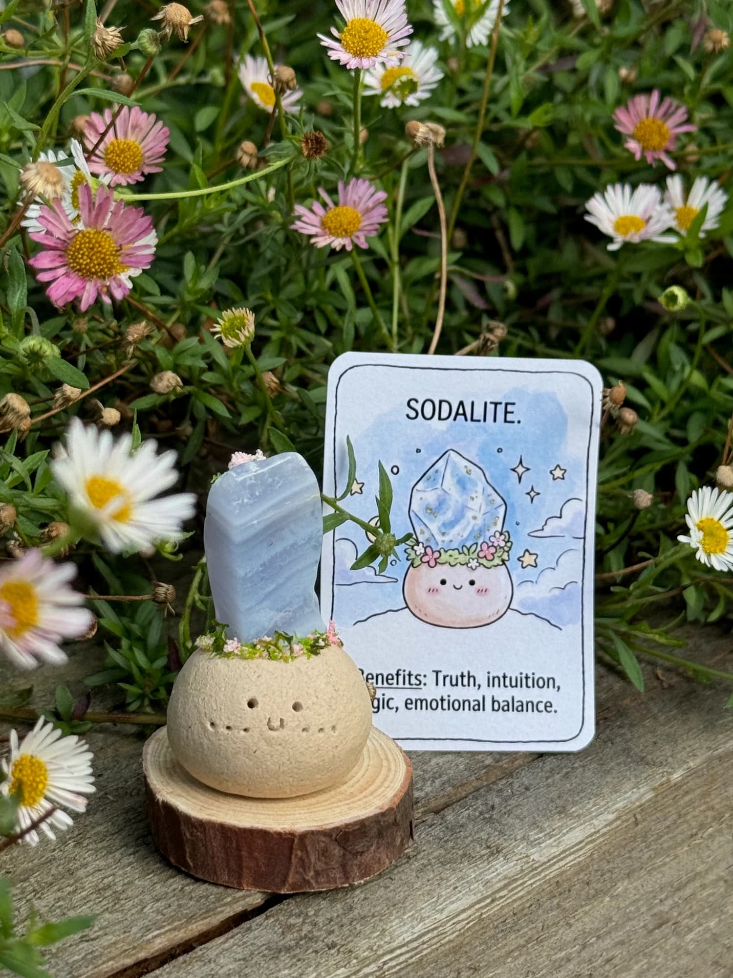 Mini Sodalite Crysprout