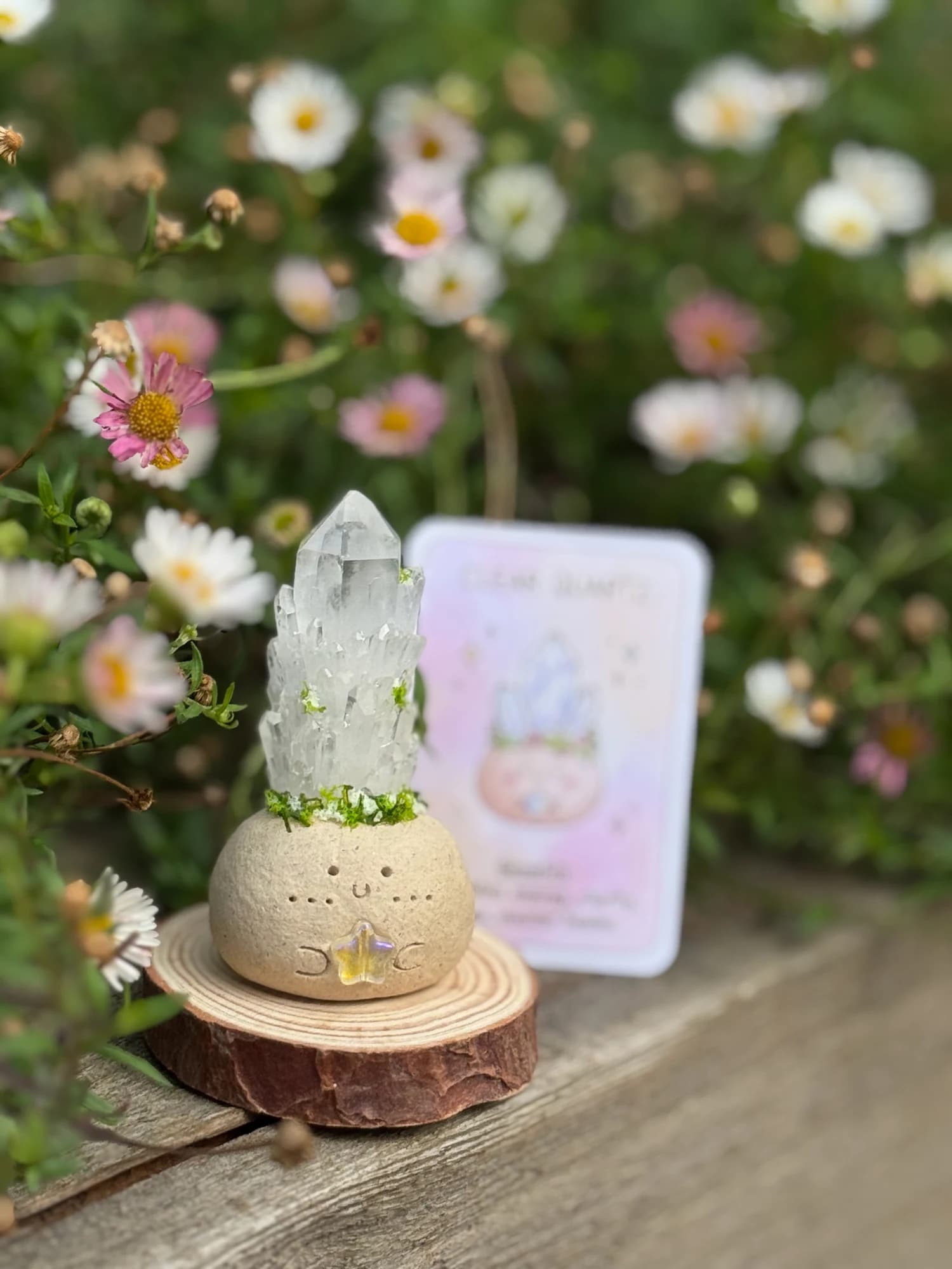 Clear Quartz Crysprout — photographed in the garden, additional view