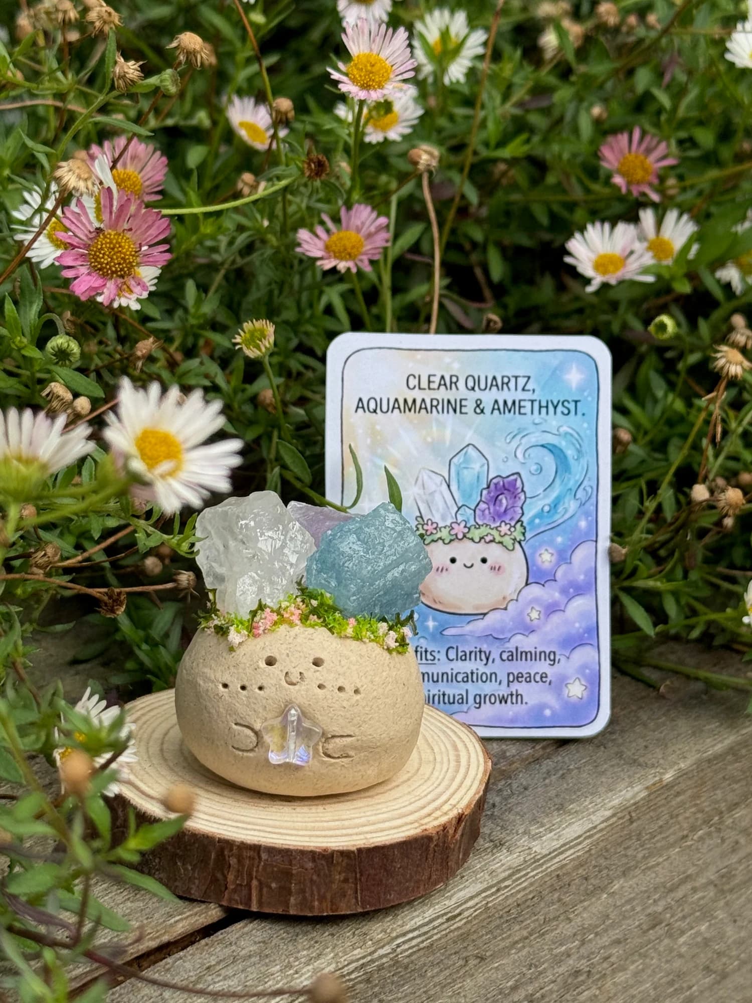Clear Quartz, Aquamarine & Amethyst Crysprout — photographed in the garden, additional view