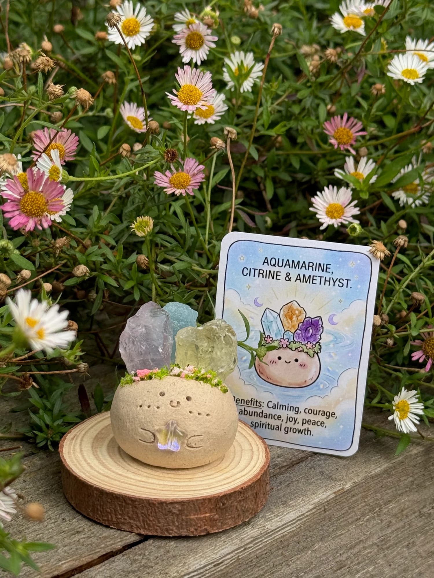 Citrine, Aquamarine & Amethyst Crysprout — No. 2 — photographed in the garden, additional view