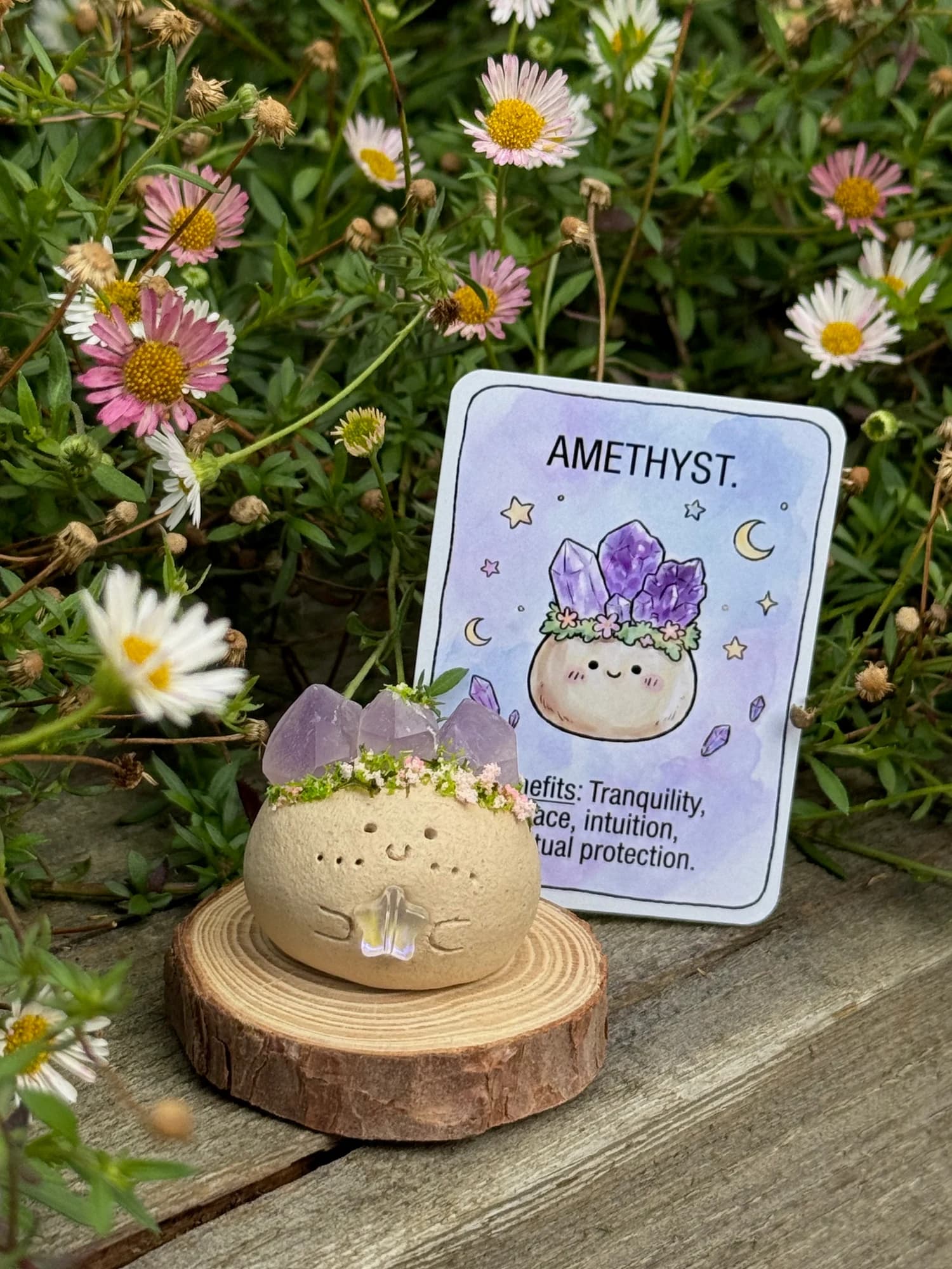 Amethyst Crysprout