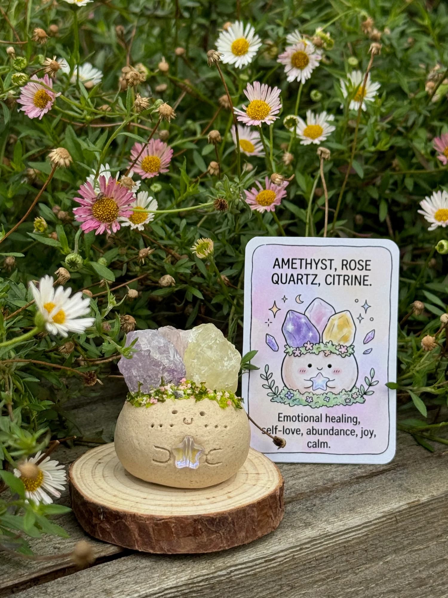 Rose Quartz, Amethyst & Citrine Crysprout — photographed in the garden, additional view