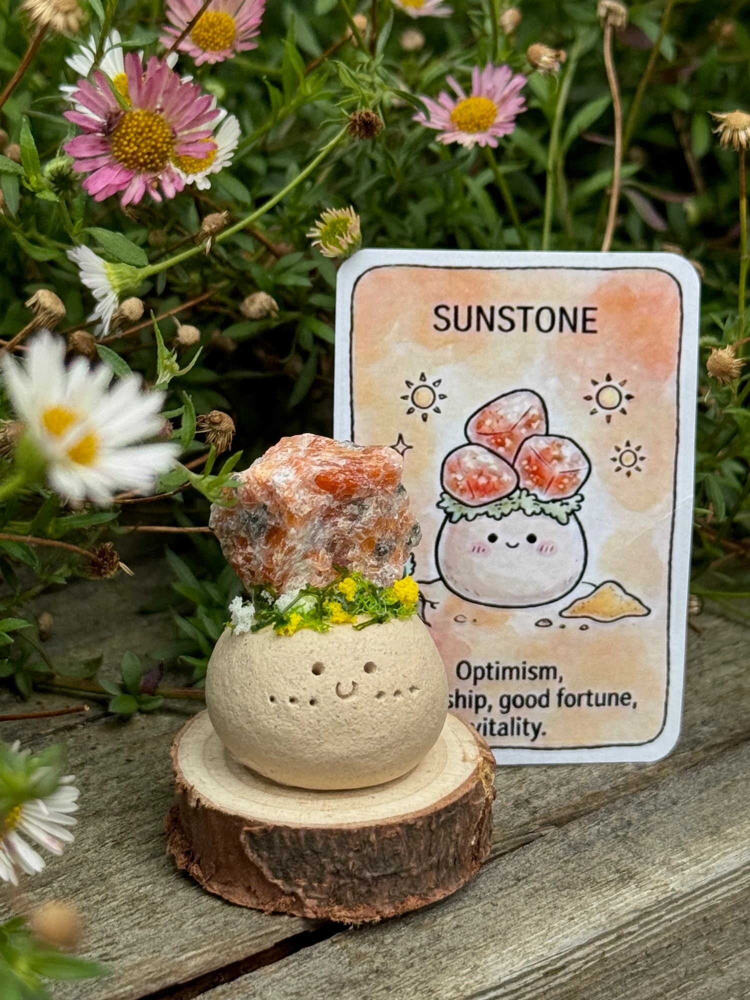 Mini Sunstone Crysprout — Yellow Flowers