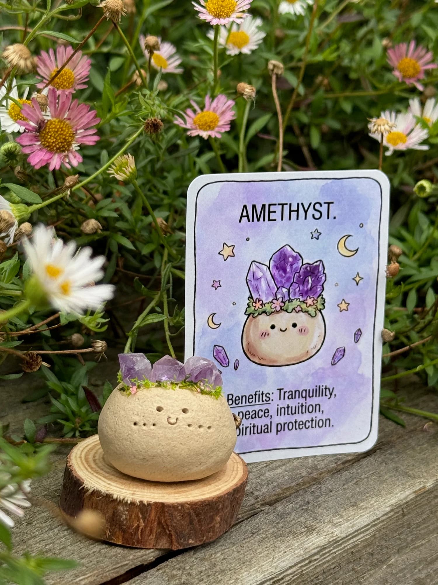 Mini Amethyst Crysprout