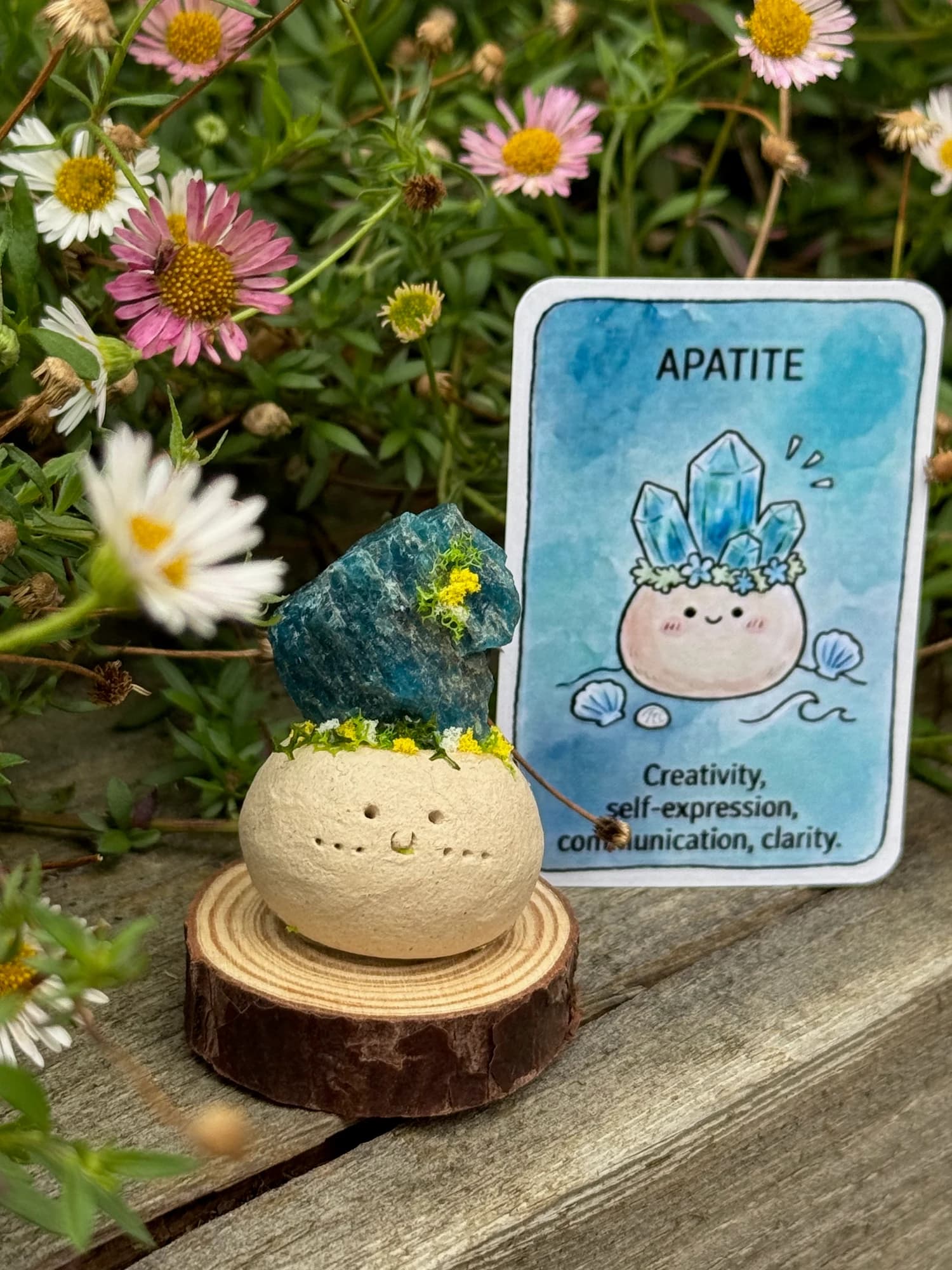 Mini Apatite Crysprout — photographed in the garden, additional view