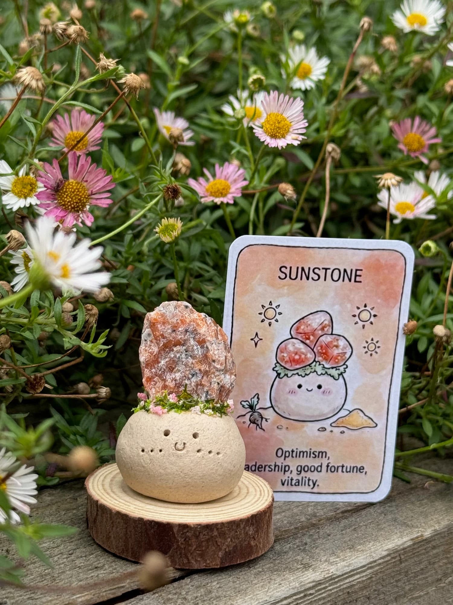 Mini Sunstone Crysprout — Pink Flowers — photographed in the garden, additional view