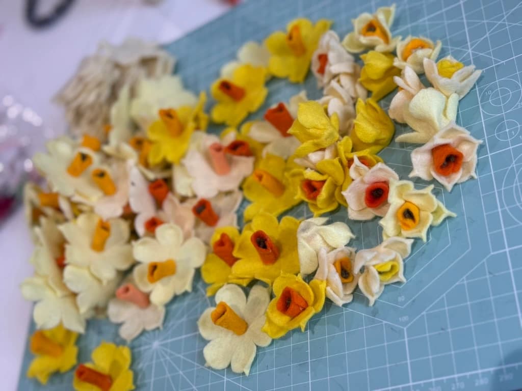 Daffodils in the making